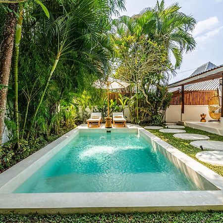 Berapi Villa By Evdekimi Ubud Екстер'єр фото